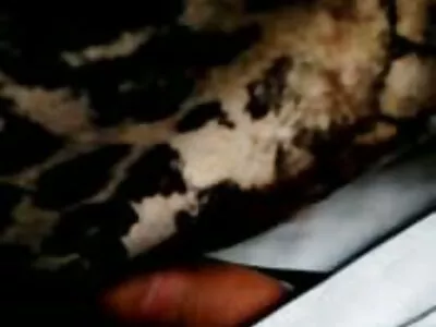 Loc public făcut pentru Krystal Boyd și filmexxx cu animale tânărul care o face