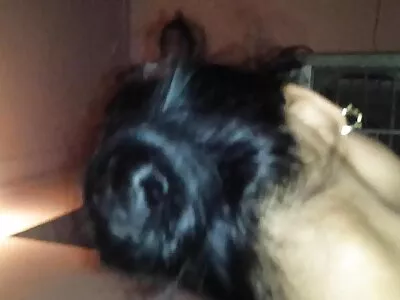 Bruneta jucăușă și slabă se joacă cu picioarele filmexxx cu animale și este futută