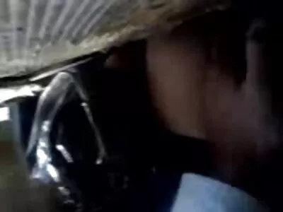 Două păsări înfiorătoare o fac în filmexxx cu negri mijlocul unei săli de clasă